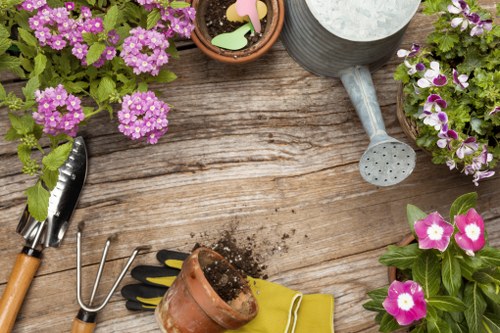 Professional hedge trimming service in Abbey Wood