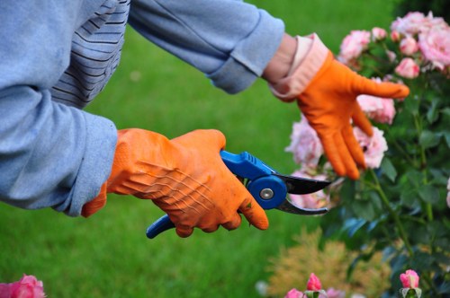 Professional gardeners working on a landscape design in Abbey Wood