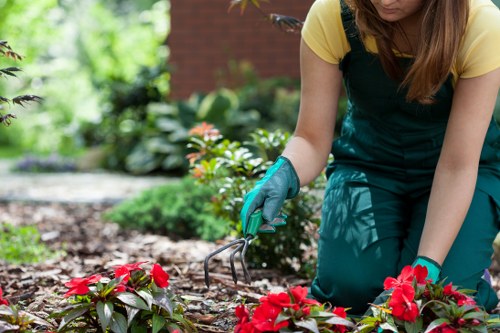 Tools and equipment used for garden clearance in Abbey Wood
