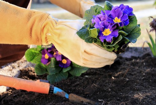 Eco-friendly decking options