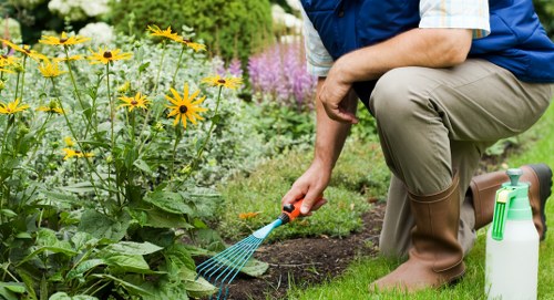 Lawn care professionals tending to a garden in Abbey Wood