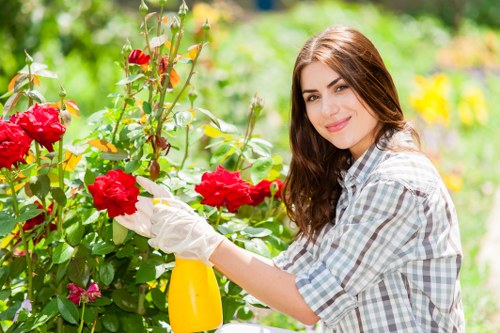 Selection of native and seasonal plants for Abbey Wood landscaping