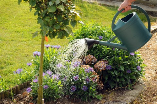Healthy pruned tree branches in a residential area