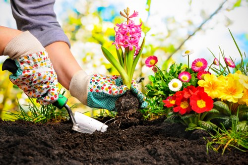 Healthy plants in Abbey Wood garden with effective pest management