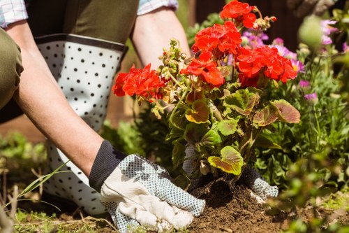 Professional gardeners performing spring maintenance in a lush Abbey Wood garden
