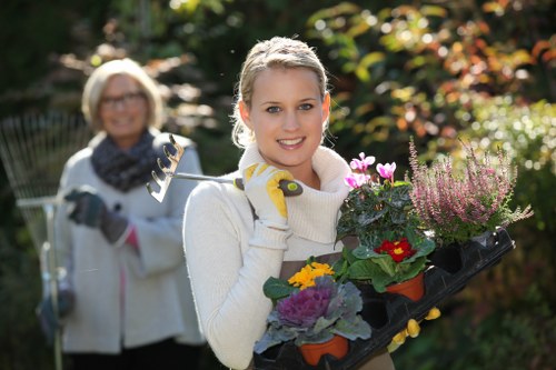 Seasonal plant selection for gardens in Abbey Wood